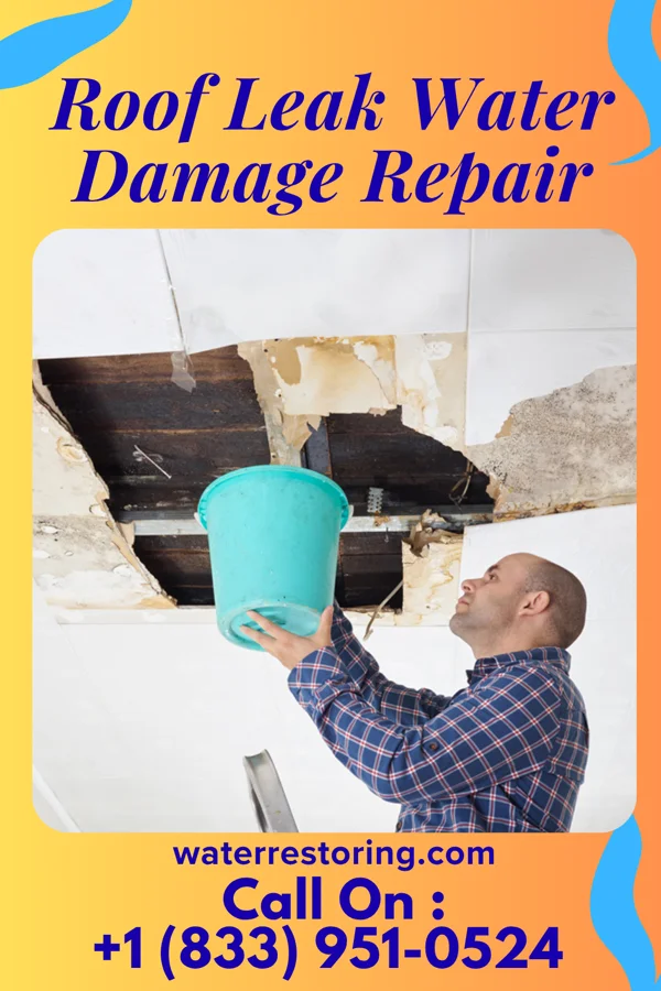 Roof Leak Water Damage Repair in Uniontown, PA