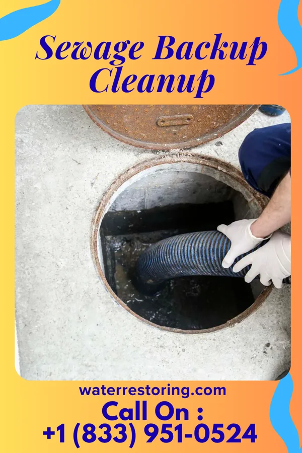 Sewage Backup Cleanup in Uniontown, PA